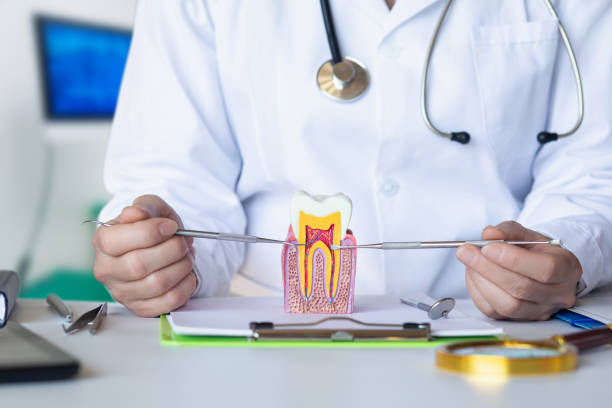 Professional Emergency Dental Service in SC